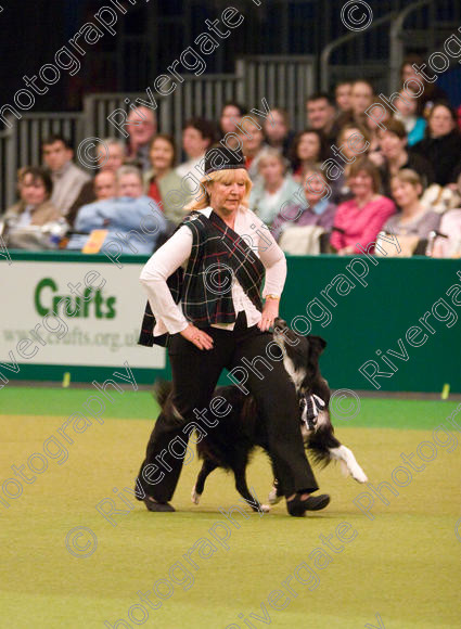 IMG 7336 
 Keywords: 2008, Arena, BC, Display, Kinaway Doctor Watson, NEC, birmingham, border collie, canine freestyle, carole dodson, crufts, dancing, dogs, heelwork to music, htm, march, performance