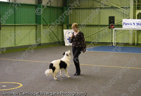 IMG 0152 
 Heelwork to Music and Canine Freestyle events and competition in 2005 held at the Connexion Leisure Centre, Ryton-on-Dunsmore, Coventry. 
 Keywords: 2005, June, UK, competition, coventry, dog, dog dancing, dog sport, gina pink, heelwork to music, k9freestyle, ryton on dunsmore