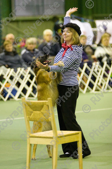 IMG 5829 
 Keywords: 2008, K9 Freestyle, Rugby DTC, canine freestyle, competition, connexions leisure centre, coventry, dancing dogs, february, heelwork to music, , ryton on dunsmore