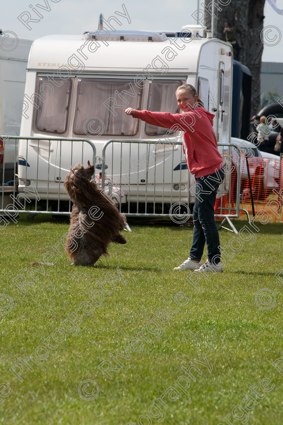 AWC 3116 
 Keywords: arena demonstration, arena display, canine freestyle, heelwork to music, k9freestyle, newark and nottingham country show, richard curtis