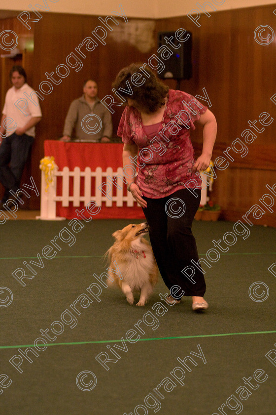 AWC 1743 
 Keywords: 2010, Carol Wattley, april, competition, heelwork to music, starters heelwork to music part 2, west glen