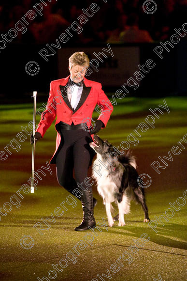 IMG 8222 
 Keywords: 2008, Arena, Display, NEC, birmingham, canine freestyle, crufts, dancing, dogs, heelwork to music, htm, march, performance