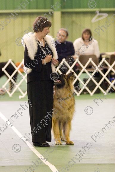 IMG 5972 
 Keywords: 2008, K9 Freestyle, Rugby DTC, canine freestyle, competition, connexions leisure centre, coventry, dancing dogs, february, heelwork to music, , ryton on dunsmore