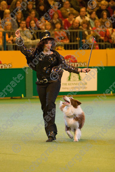 IMG 7365 
 Ann De Rizzio with Stillmoor Touch of Spice performing at Crufts 2008 in the Arena at the NEC Birmingham 
 Keywords: 2008, Arena, BC, Display, NEC, Stillmoor Touch of Spice, ann de rizzio, birmingham, border collie, canine freestyle, crufts, dancing, dogs, heelwork to music, htm, march, performance