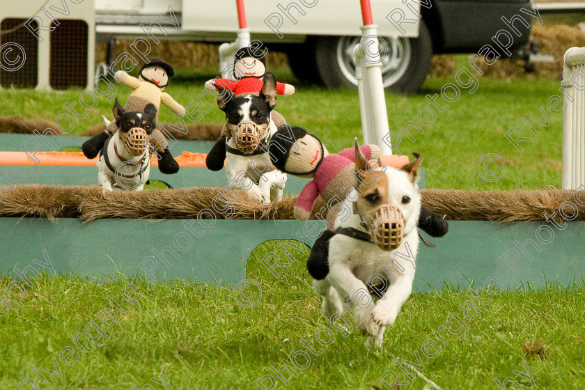 AWC 1857 
 Keywords: England, Lynch Field, UK, Wanborough, Wiltshire, arena demonstration, arena display, cyril the squirrel, terrier racing, wanborough country show