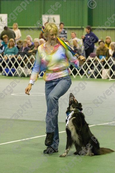 IMG 6815 
 Keywords: 2008, K9 Freestyle, Rugby DTC, canine freestyle, competition, connexions leisure centre, coventry, dancing dogs, february, heelwork to music, k9freestylegb, ryton on dunsmore