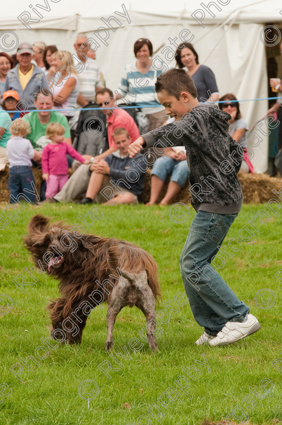 AWC 1432 
 Wanborough Country Show, August 2009, Richard Curtis' K9freestyle Dancing Dog Arena Display 
 Keywords: 2009, arena demonstration, arena display, august, canine freestyle, dog dancing, dog display, England, heelwork to music, k9freestyle, Lynch Field, Lynch Field, Wanborough, Wiltshire, England, UK, richard curtis, UK, wanborough country show, Wanborough, Wiltshire