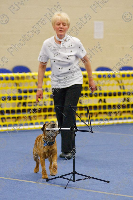 AWC 6316 
 Keywords: 2009, Anita Hartland, Ann Mavin, Barnard Castle, Border Terrier, County Durham, DL12 8DS, Foxcraig Minstrel, Judges Jeanette Fyfe, May, Northern Mutts N Music, Royal Canin, Starters Freestyle, Strathmore Road, Teesdale Sports Centre, canine freestyle, competition, heelwork to music, penny draper