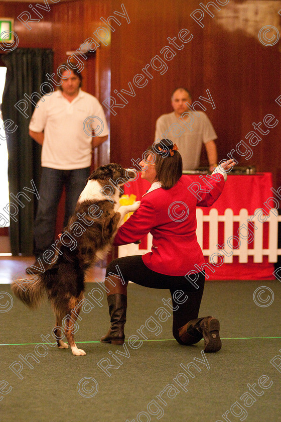 AWC 2188 
 Keywords: 2010, Jackie Storey, april, competition, heelwork to music, novice heelwork to music part 1, west glen