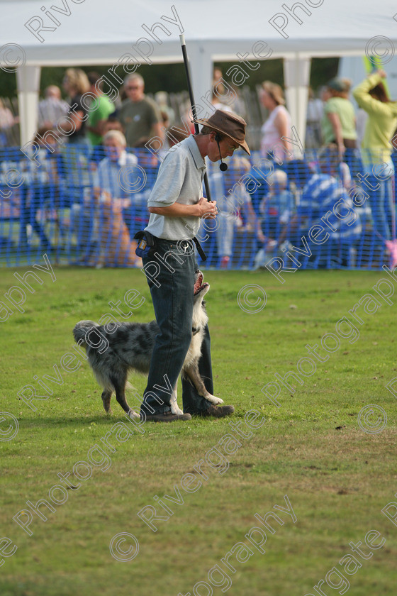 AWC 6937 
 Keywords: 2010, Chobham, Millbrook Animal Centre, RSPCA, Richard Curtis, arena demonstration, september