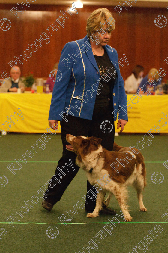 AWC 2032 
 Keywords: 2010, april, competition, heelwork to music, intermediate heelwork to music part 1, pat parsons, westglen