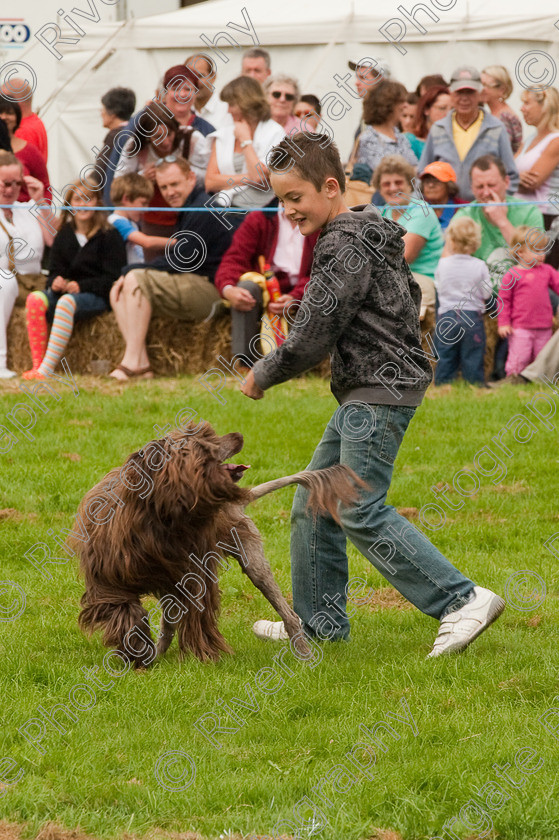 AWC 1436 
 Wanborough Country Show, August 2009, Richard Curtis' K9freestyle Dancing Dog Arena Display 
 Keywords: 2009, arena demonstration, arena display, august, canine freestyle, dog dancing, dog display, England, heelwork to music, k9freestyle, Lynch Field, Lynch Field, Wanborough, Wiltshire, England, UK, richard curtis, UK, wanborough country show, Wanborough, Wiltshire