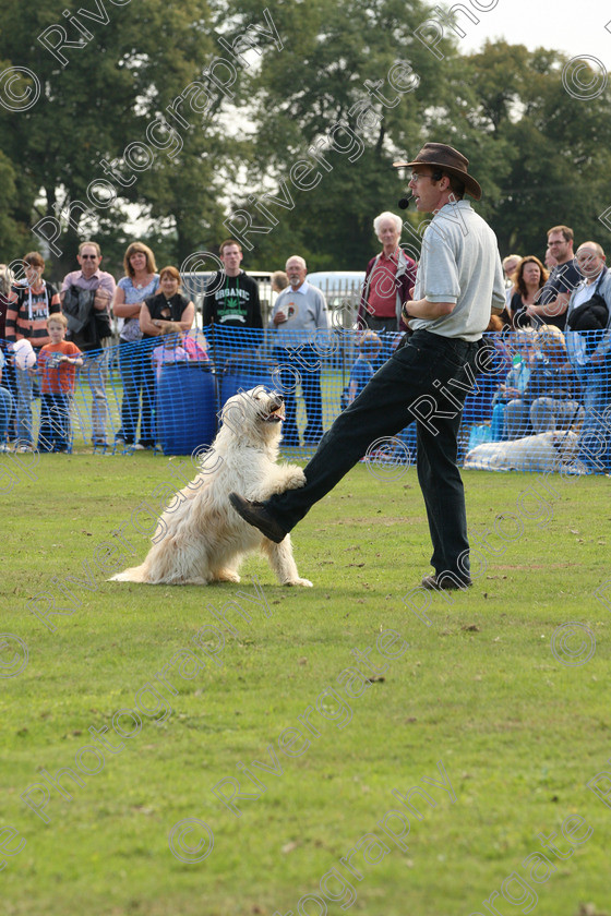 AWC 6966 
 Keywords: 2010, Chobham, Millbrook Animal Centre, RSPCA, Richard Curtis, arena demonstration, september