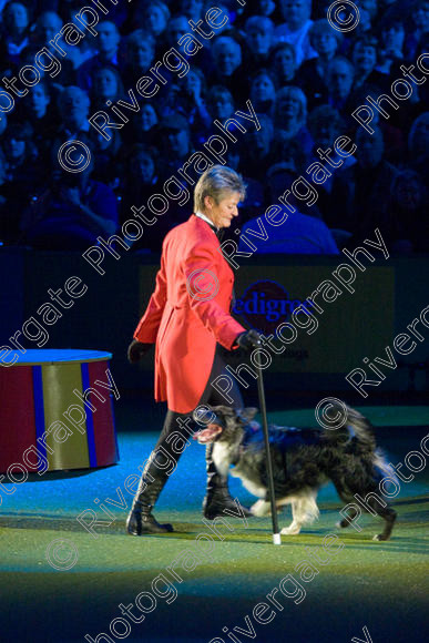 IMG 8161 
 Keywords: 2008, Arena, Display, NEC, birmingham, canine freestyle, crufts, dancing, dogs, heelwork to music, htm, march, performance