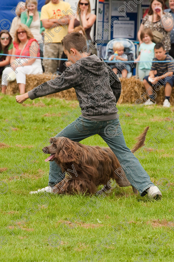 AWC 1451 
 Wanborough Country Show, August 2009, Richard Curtis' K9freestyle Dancing Dog Arena Display 
 Keywords: 2009, arena demonstration, arena display, august, canine freestyle, dog dancing, dog display, England, heelwork to music, k9freestyle, Lynch Field, Lynch Field, Wanborough, Wiltshire, England, UK, richard curtis, UK, wanborough country show, Wanborough, Wiltshire